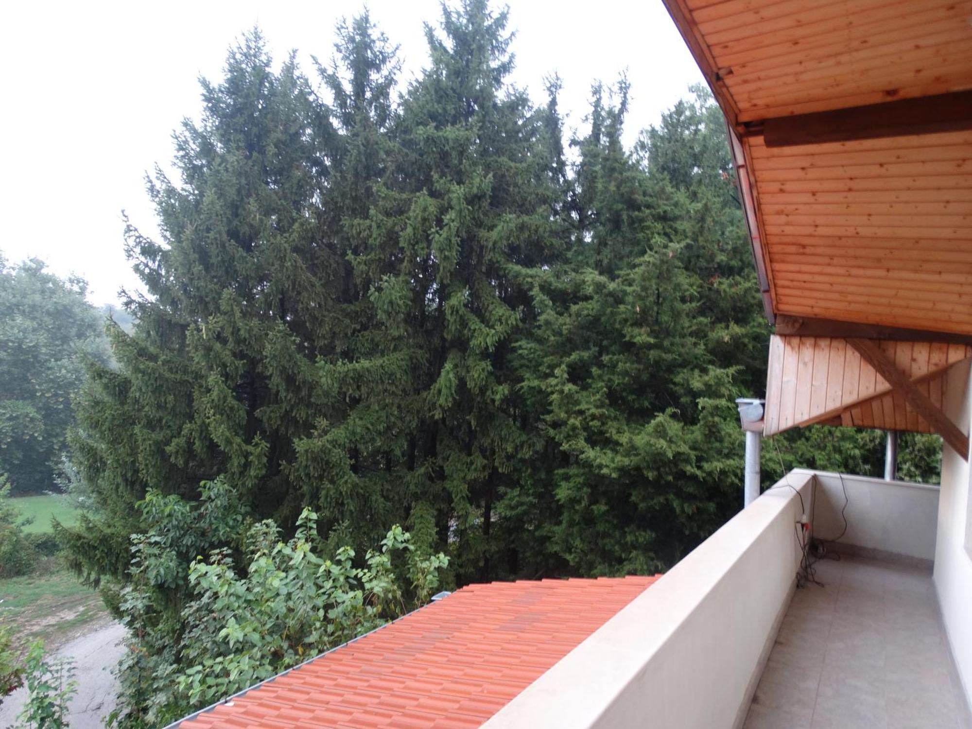 פלבן Hotel Grivitsa חדר תמונה
