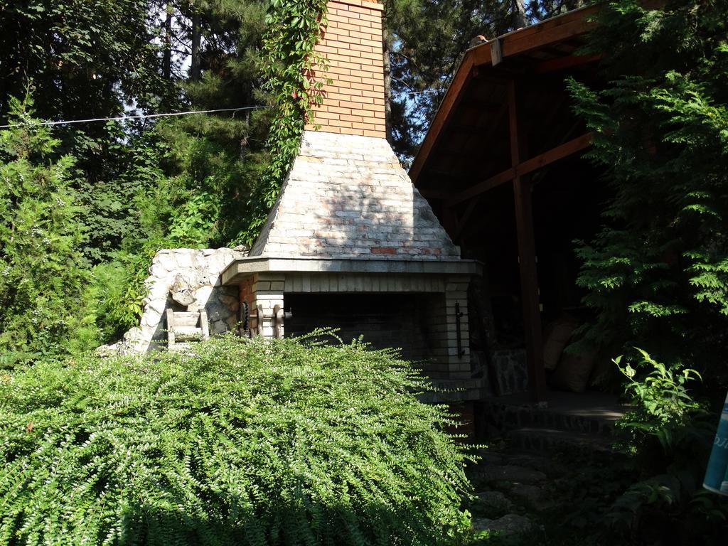 פלבן Hotel Grivitsa חדר תמונה