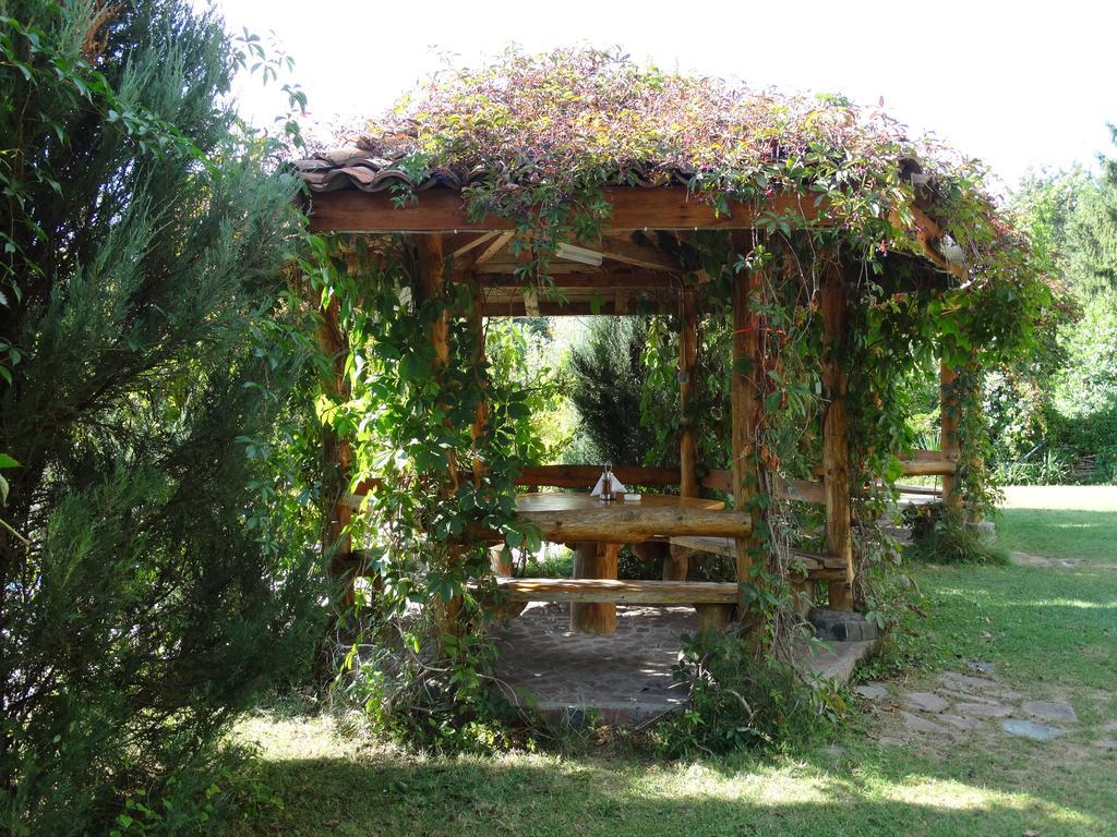 פלבן Hotel Grivitsa מראה חיצוני תמונה